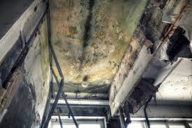 Asbestos and Lead Testing During Mold Inspection in Beavercreek, OR